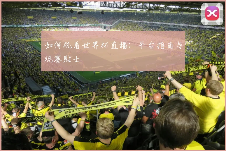 如何观看世界杯直播:平台指南与观赛贴士